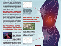 Posters / Wild Postings